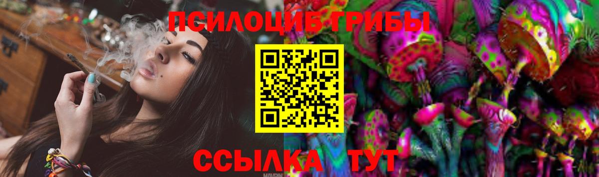 Псилоцибиновые грибы Cubensis Полысаево